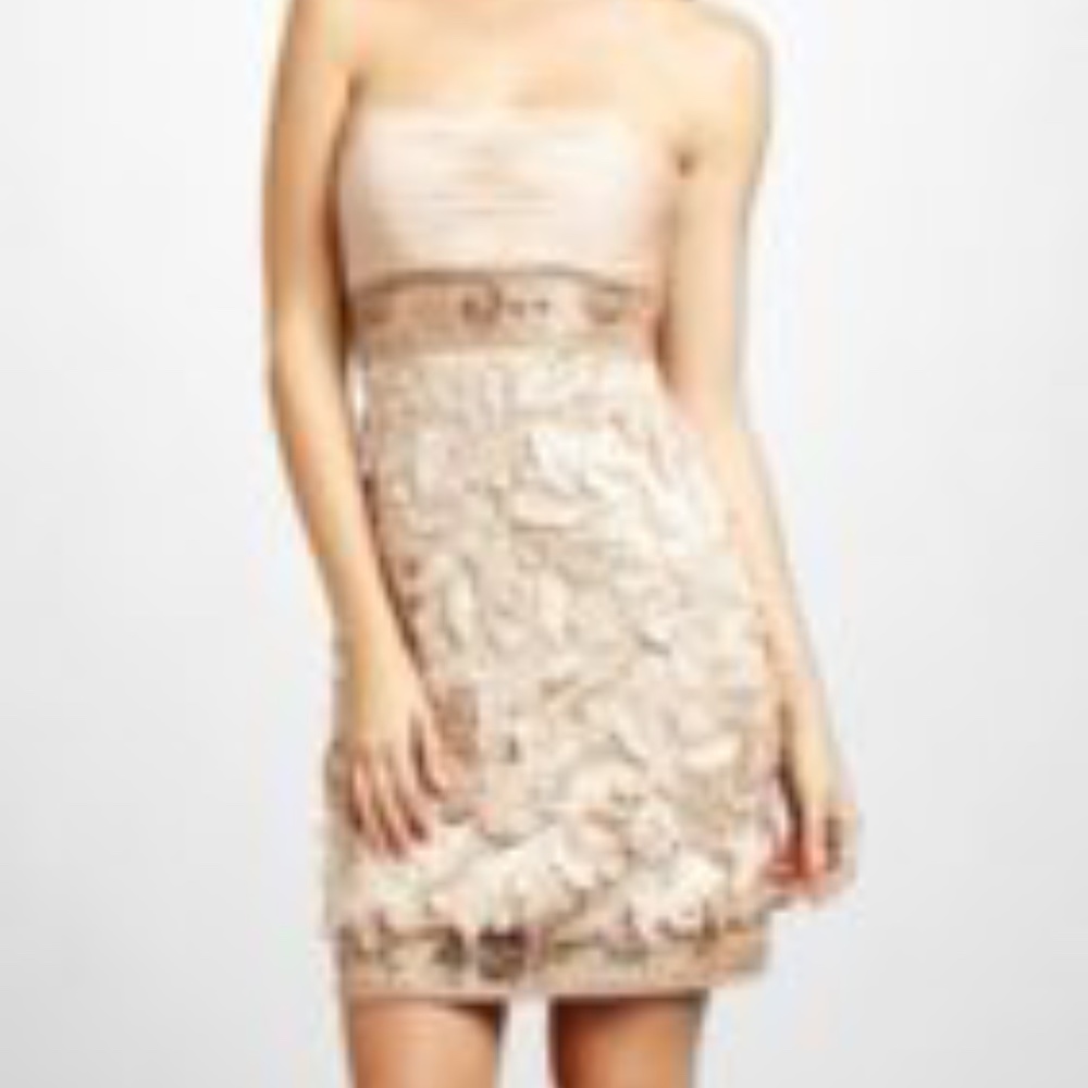 Sue Wong Silk Ribbon Lace in Champagne